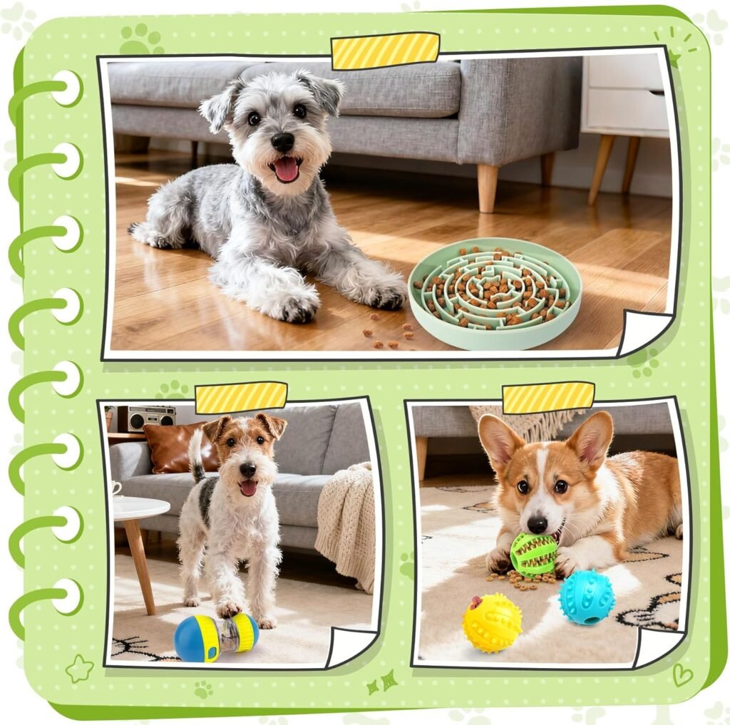 Enriching Feeding Set for Dogs Interactive Enrichment