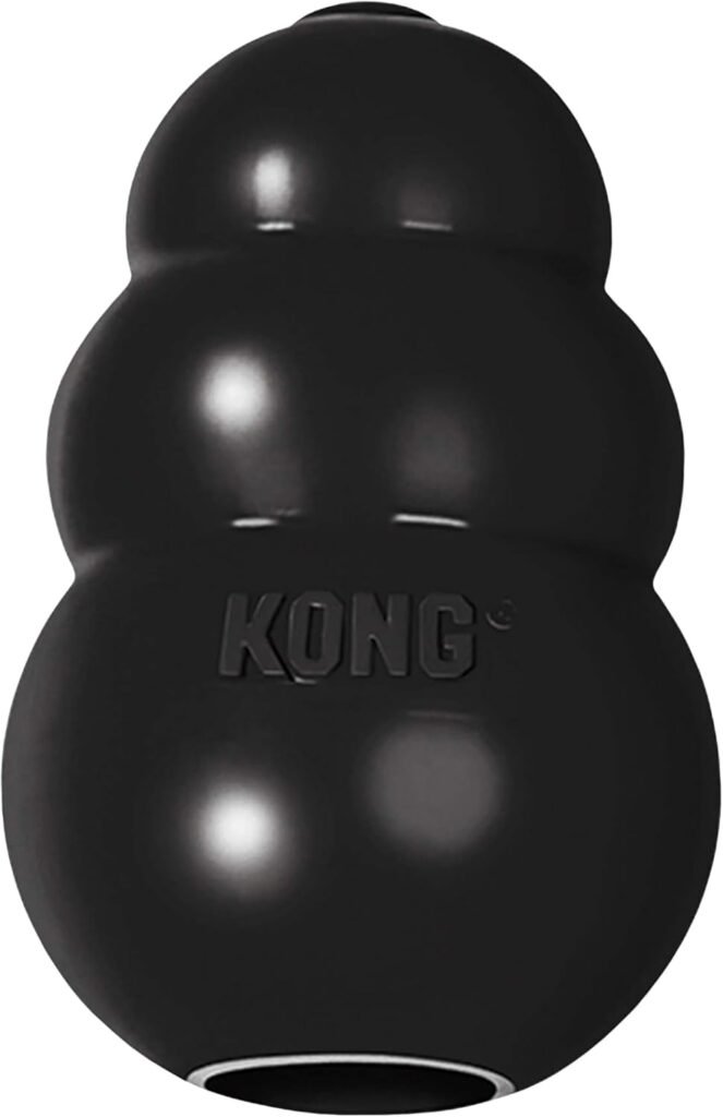 Kong Extreme Dog Toy Fetch Chew
