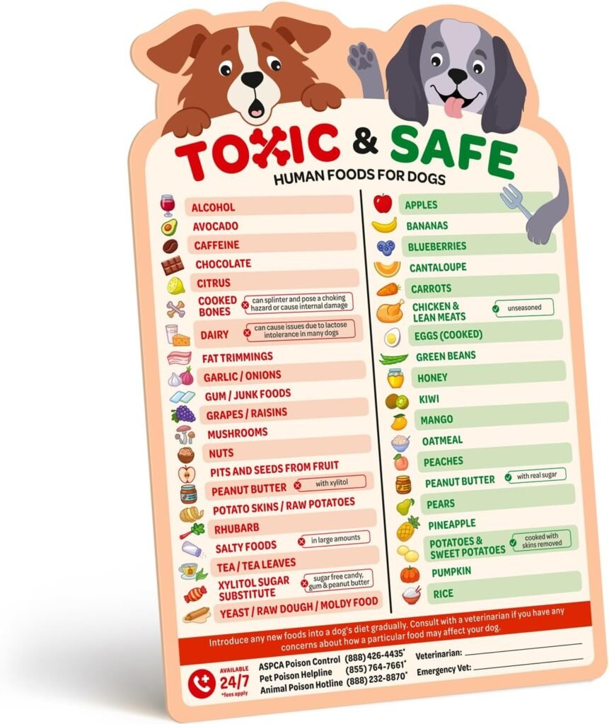 Magnetic List of Foods Dog Cant Eat