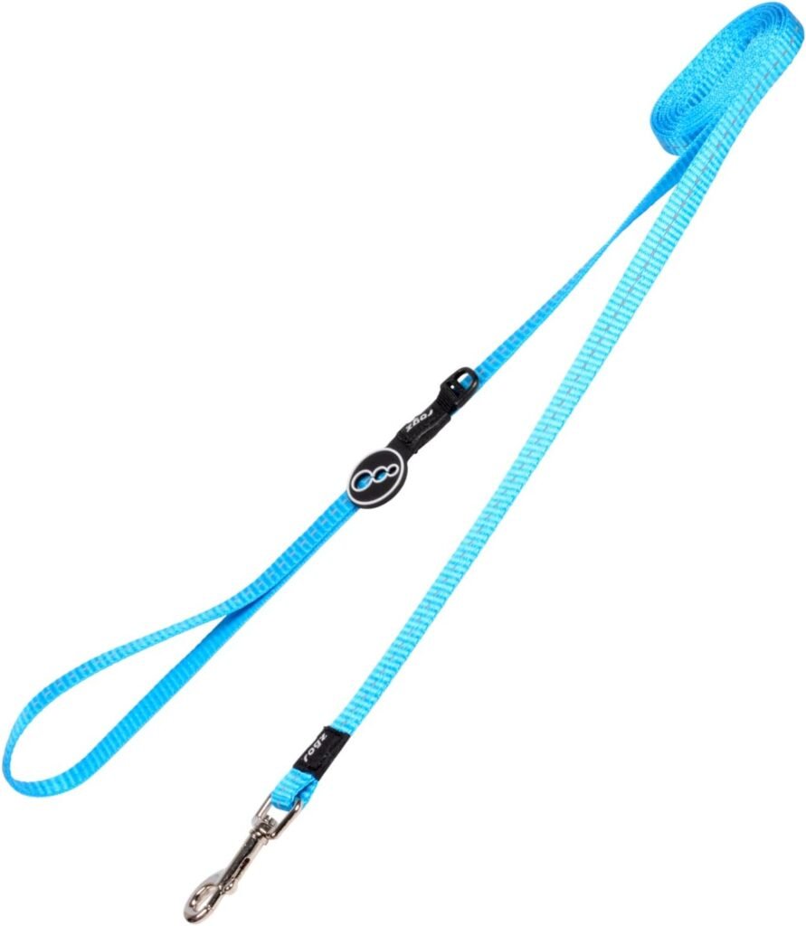 reflective dog leash