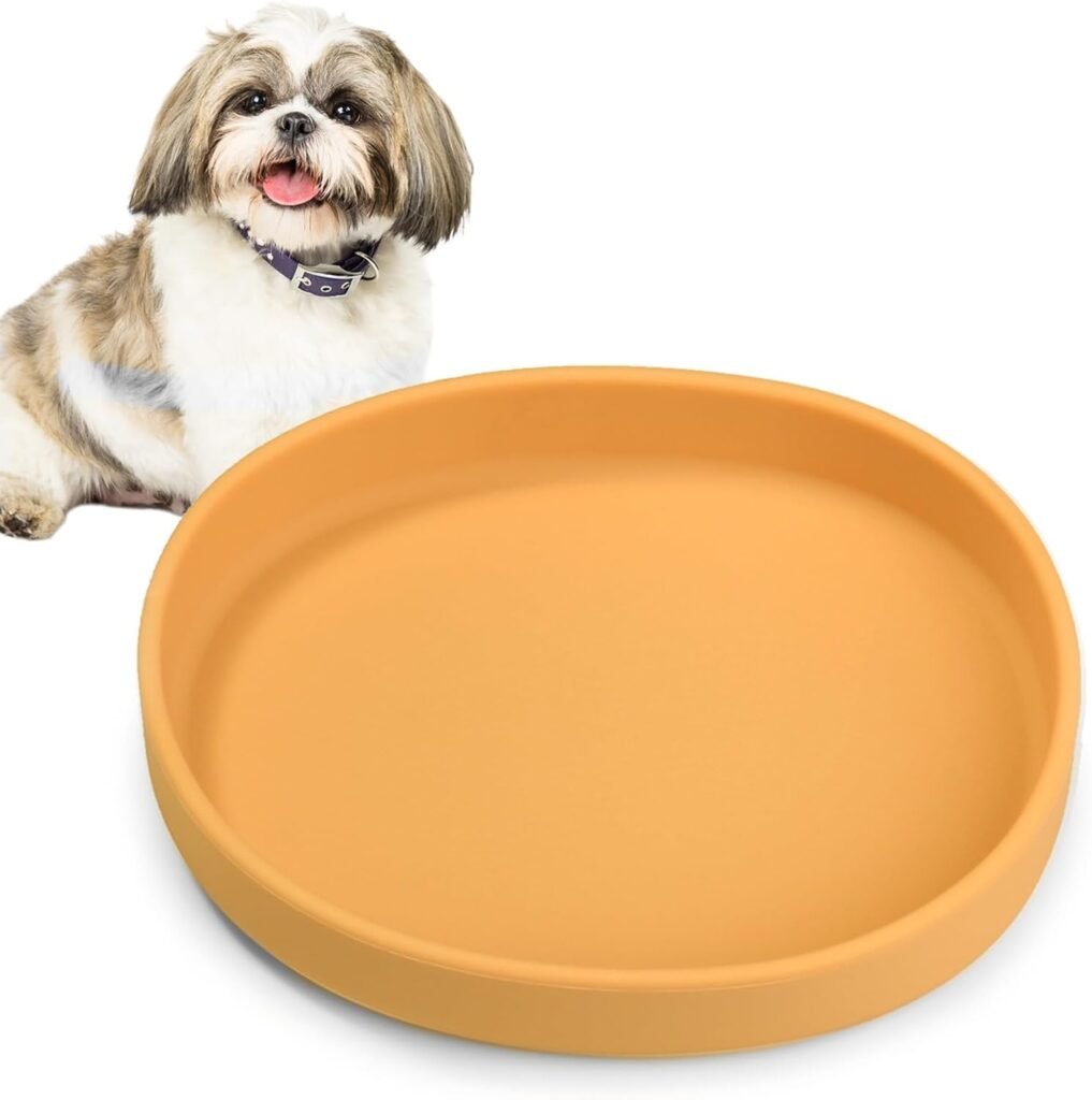 Silicone Dog Food Plate